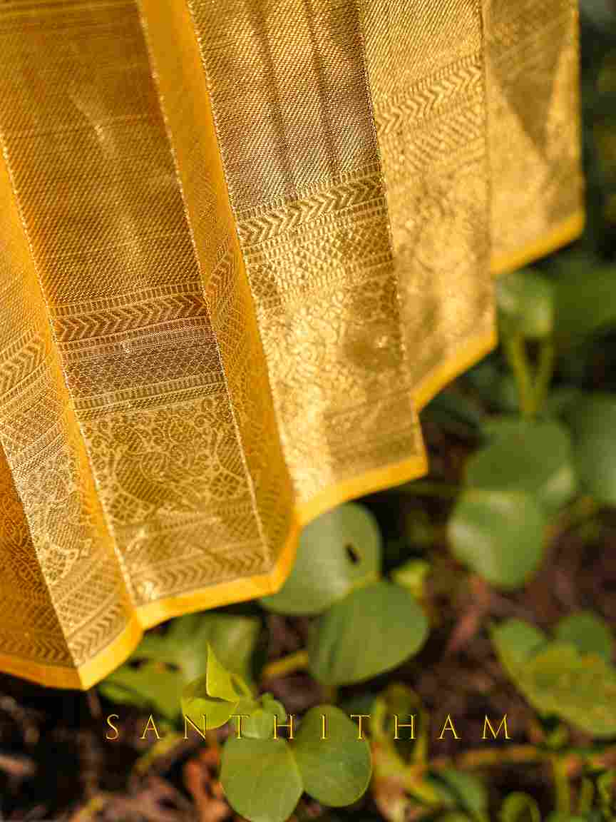 Golden Pleated Lehenga with Textured Blouse