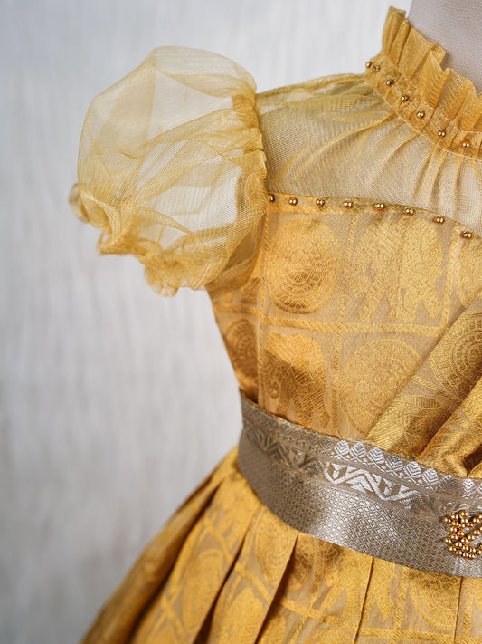 Gold and Silver Kanjivaram Silk Gown