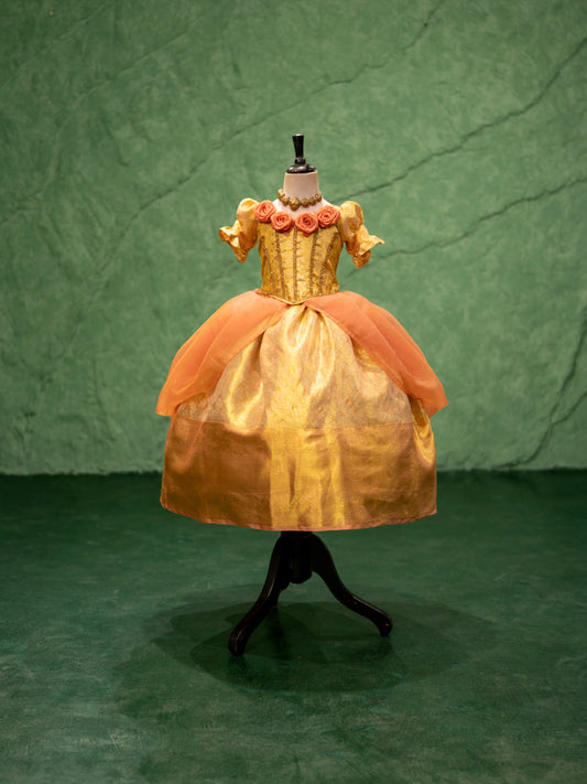 Kanchipuram Silk Peach Renaissance Gown | Vadivambal