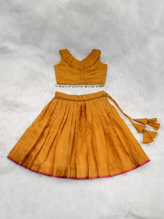 Ochre Kanjivaram Lehenga Set