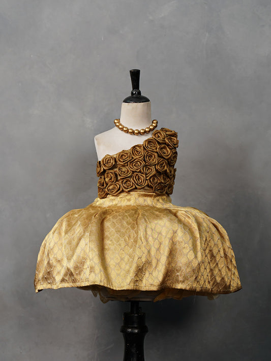 Gold Rosette Kanjivaram Silk Gown