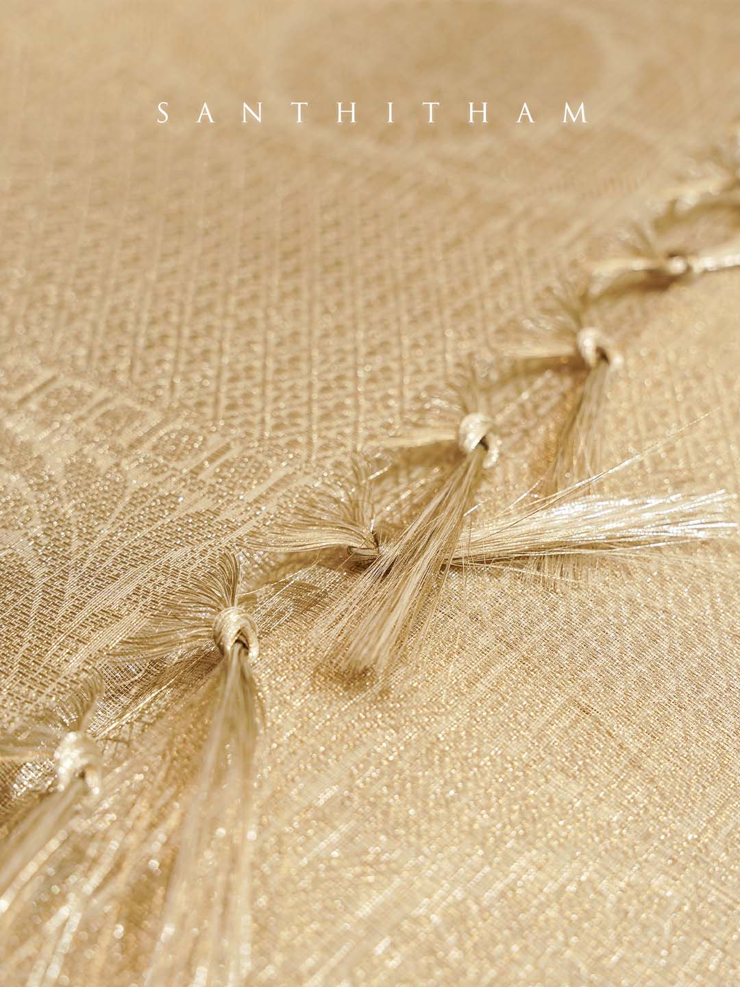 Buff Gold Tissue Saree