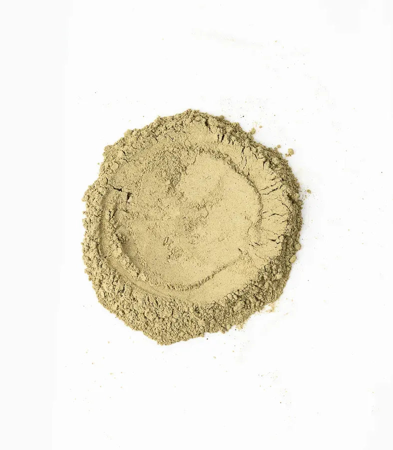 Oil Scalp Treatment Hair Mask